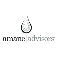 Amane Advisors | now: Roland Berger