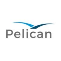Pelican.ai
