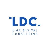 Liga Digital Consulting