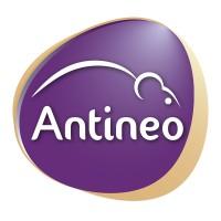 ANTINEO