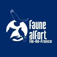 FAUNE ALFORT