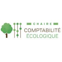 Ecological Accounting Chair
