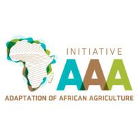 AAA Initiative