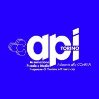 API Torino - Association of SME in Turin (Italy)