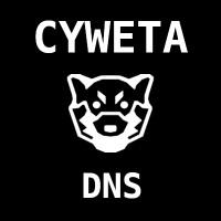 CyWeTa DNS - Dark Net Solutions