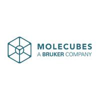 MOLECUBES