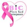 EU|BIC Plein Sud Entreprises