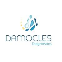 DAMOCLES Diagnostics