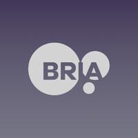 Bria AI