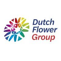 Dutch Flower Group