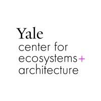 Yale CEA