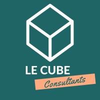 Le Cube consultants