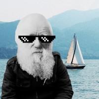 Captain Darwin