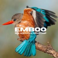 EMBOO