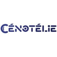 Cénotélie