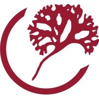 CEAMSA