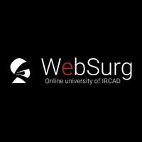 WebSurg (IRCAD)