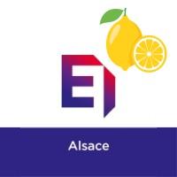 MEDEF ALSACE