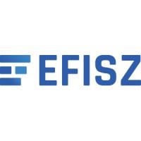 Electronic Payment Service Providers Association (EFISZ)