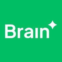 Brain ✦