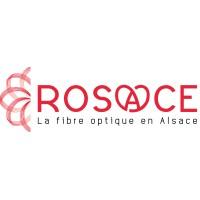 Rosace Fibre