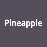 Pineapple Furniture