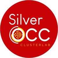 Clusterlab Silver Occitanie