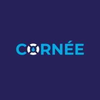 Cornée