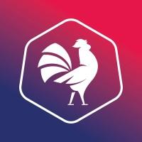 Fédération Française de Football Américain (FFFA)
