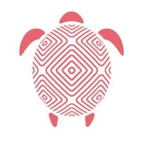 Yurtle