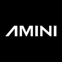 Amini