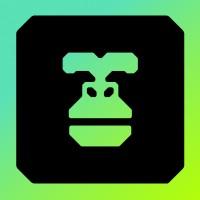 Gorilla - Energy Margin Intelligence