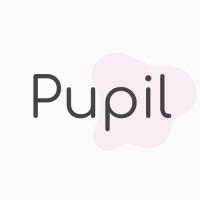 Pupil