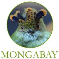 Mongabay.org