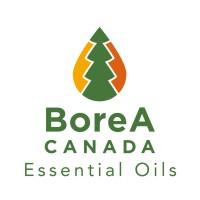 BoreA Canada