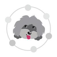 Mella Pet Care