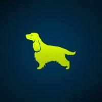 Dog Walking Daily