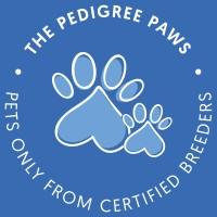 The Pedigree Paws