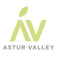 Astur Valley - Asociación Asturiana de Startups