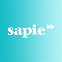 SAPIE - Slovak Alliance for Innovation Economy
