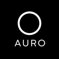 Grupo Auro
