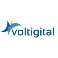 Voltigital