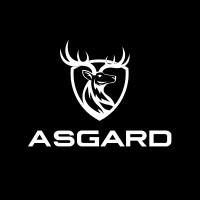 Asgard Motors - Le futur trace sa route.