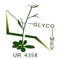 GlycoMEV