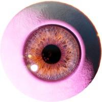 Octobre Numérique - Faire Monde