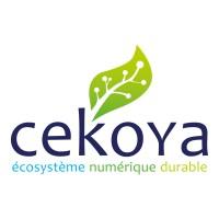 Cekoya