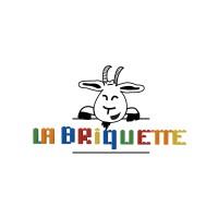 La Briquette®