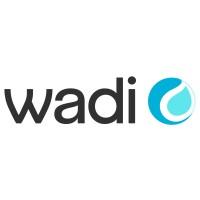wadi