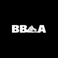 Blue Bird Agency