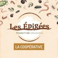 Les Épigées - Transition Organique